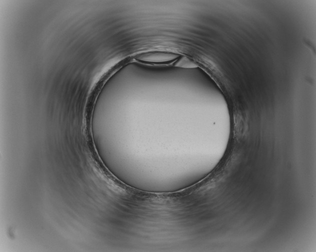X0000099480780200805231854