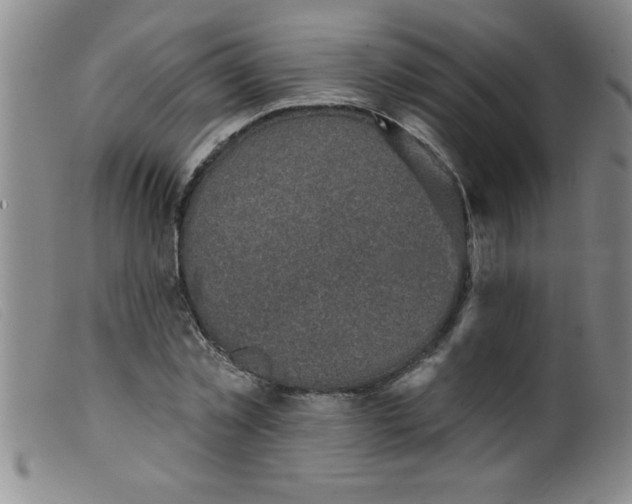 X0000099480781200805231854