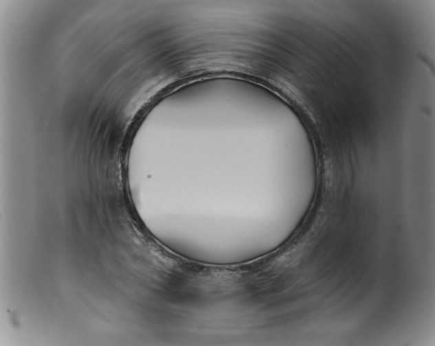 X0000099480782200805231854
