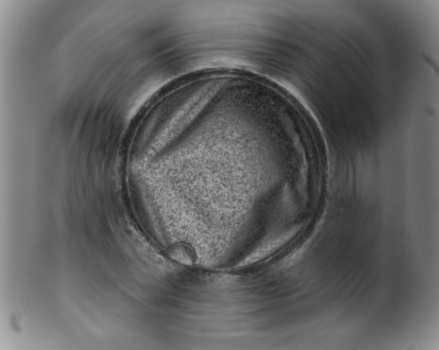 X0000099480783200805231854