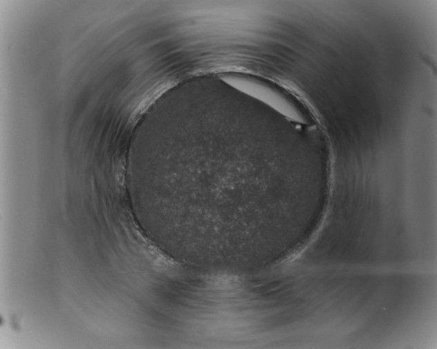X0000099480785200805231854
