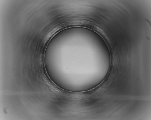 X0000099480786200805231854
