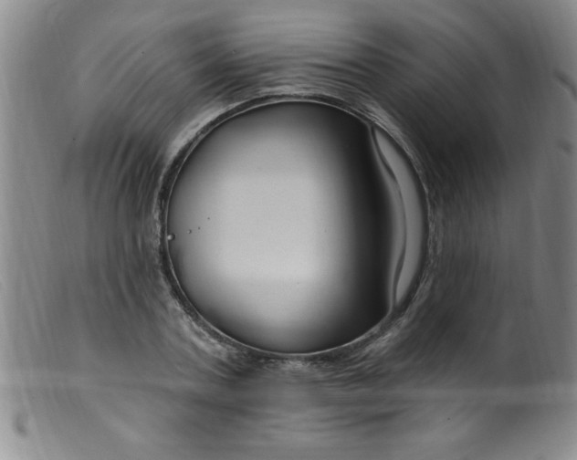 X0000099480787200805231854