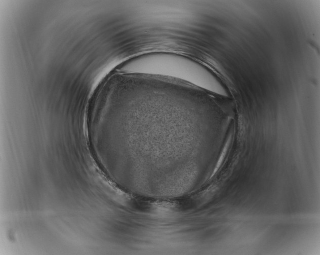 X0000099480788200805231854