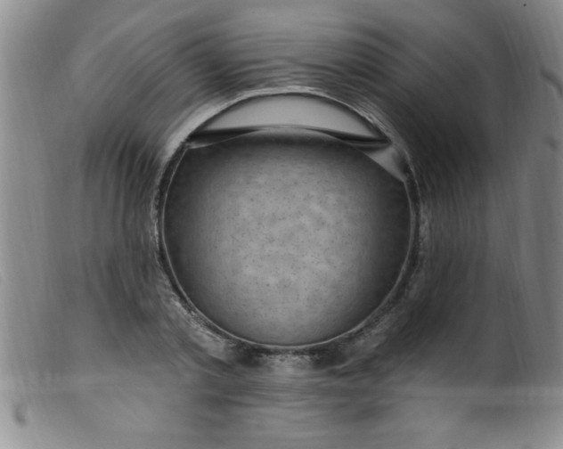 X0000099480789200805231854