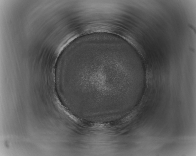 X0000099480790200805231854