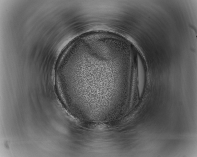 X0000099480791200805231854