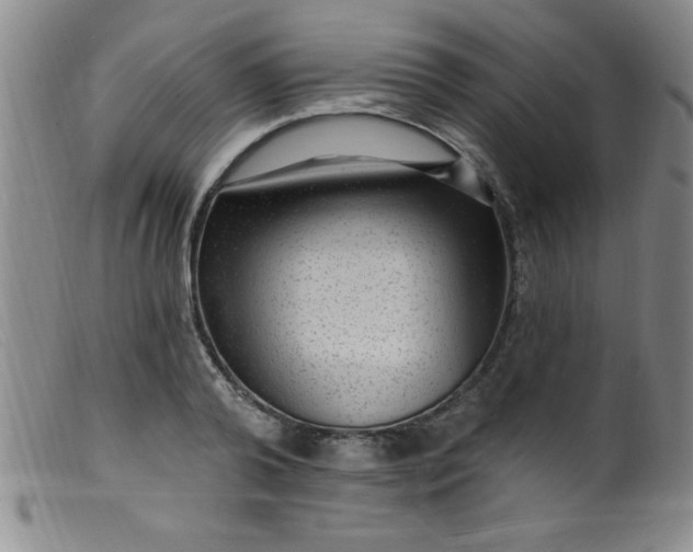 X0000099480792200805231854