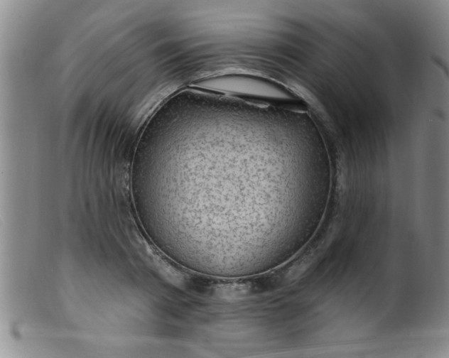 X0000099480793200805231854