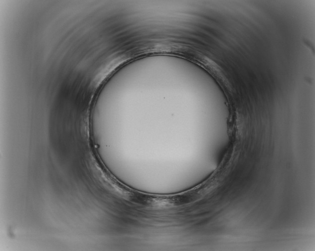 X0000099480794200805231854