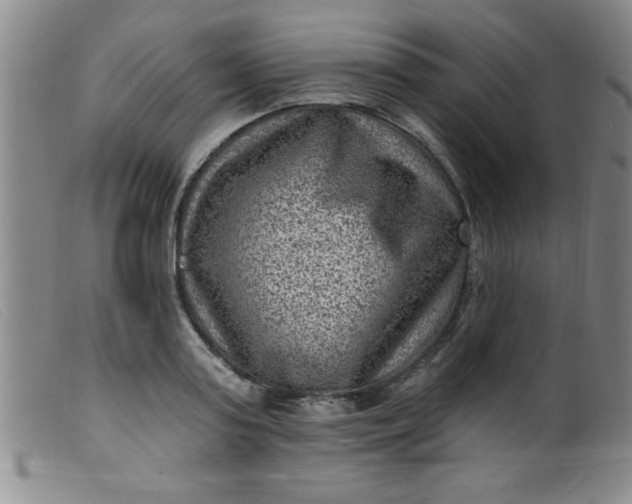X0000099480795200805231854