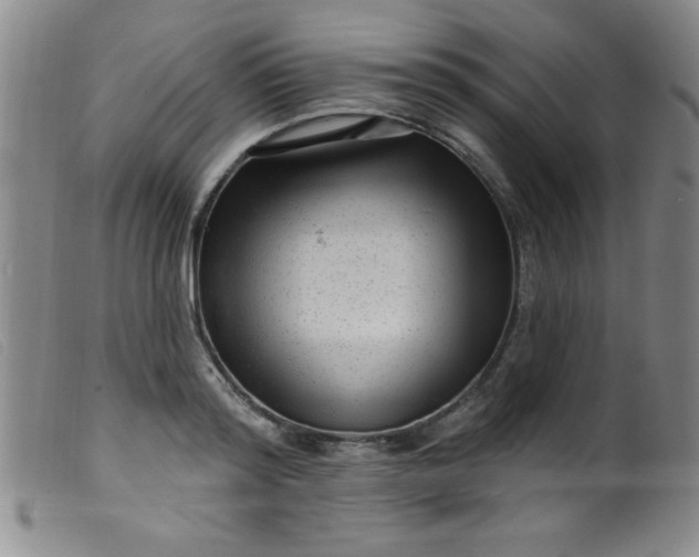 X0000099480796200805231854