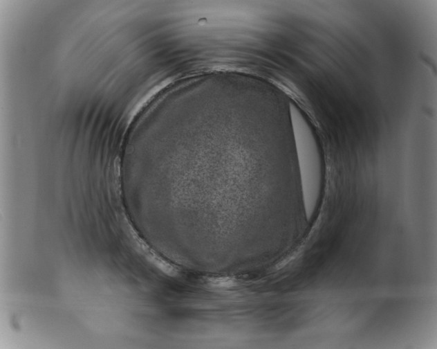 X0000099480798200805231854