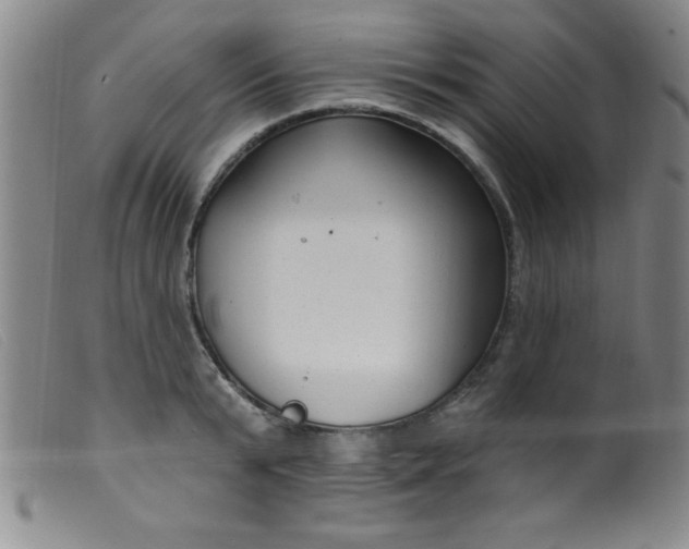 X0000099480799200805231854