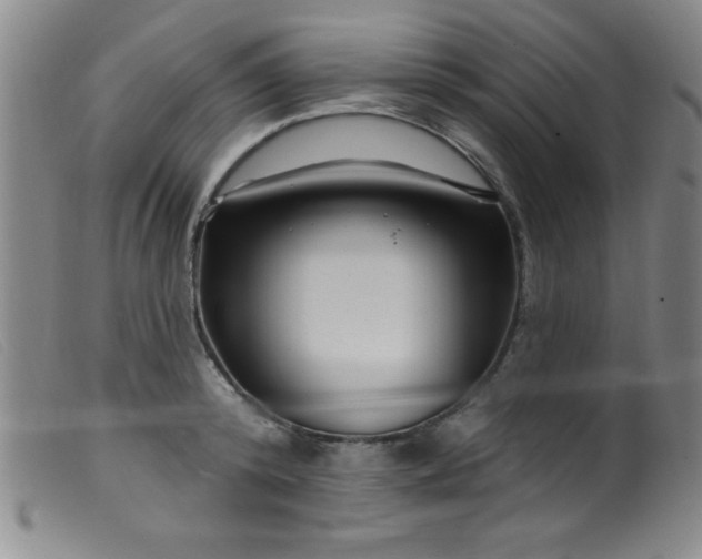X0000099480800200805231854