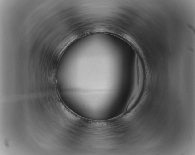 X0000099480801200805231854