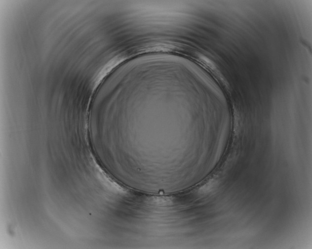 X0000099480802200805231854