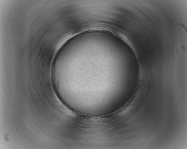 X0000099480803200805231854