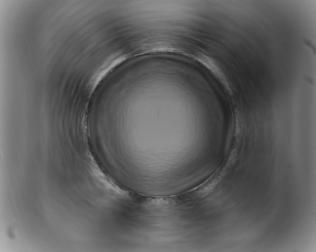 X0000099480806200805231854