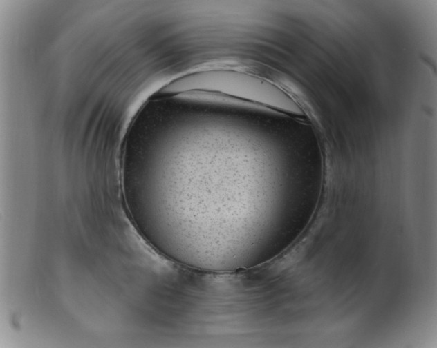 X0000099480808200805231854