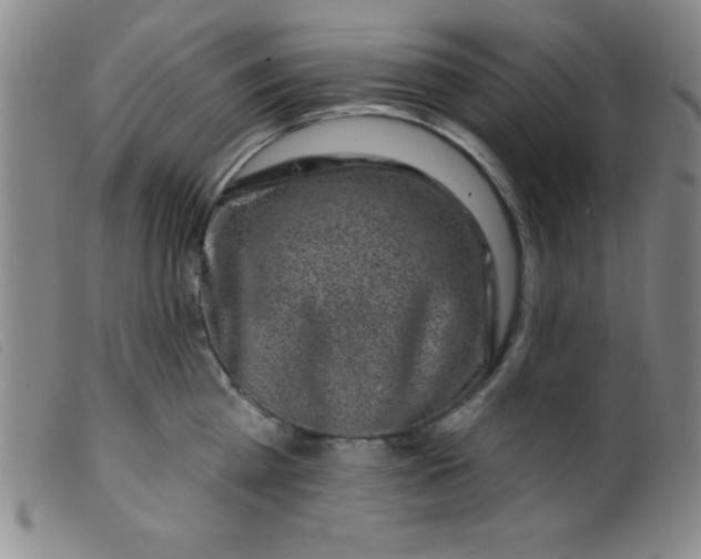 X0000099480809200805231854