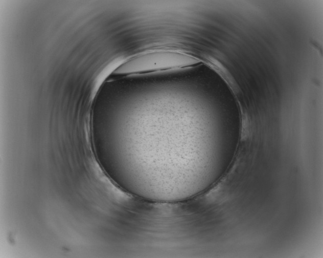 X0000099480812200805231854