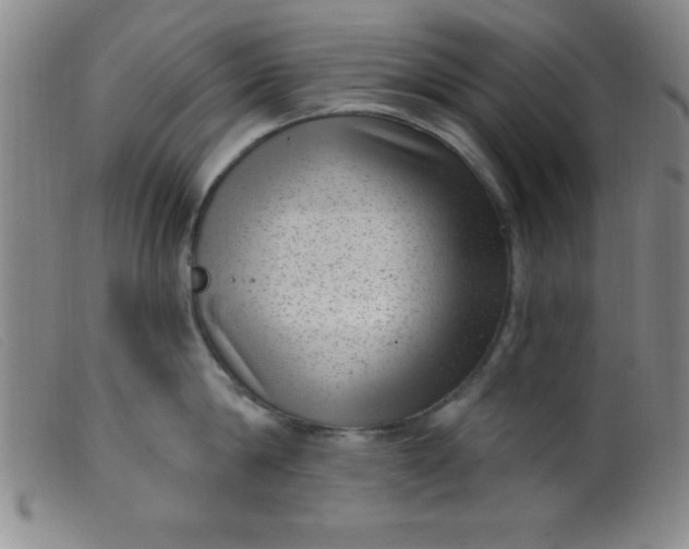 X0000099480814200805231854
