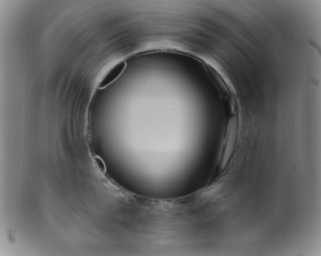 X0000099480815200805231854