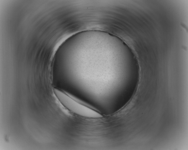 X0000099480816200805231854