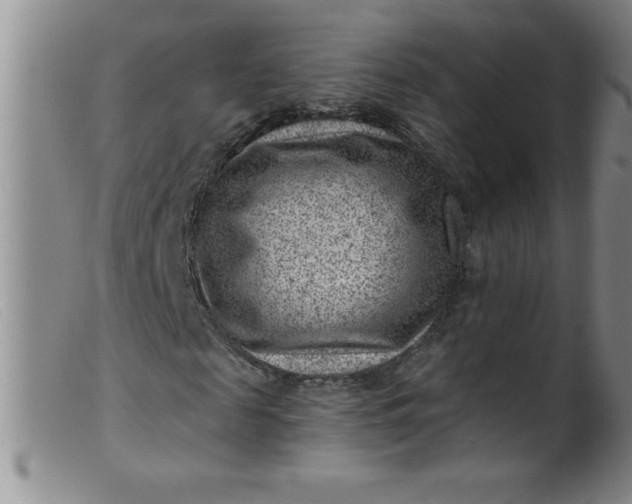 X0000099480817200805231853