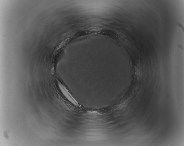 X0000099480818200805231853