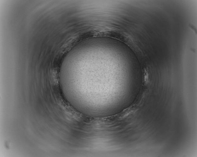 X0000099480819200805231853