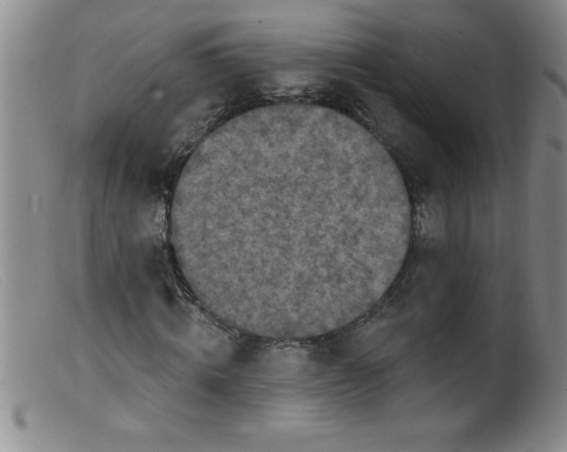 X0000099480820200805231853