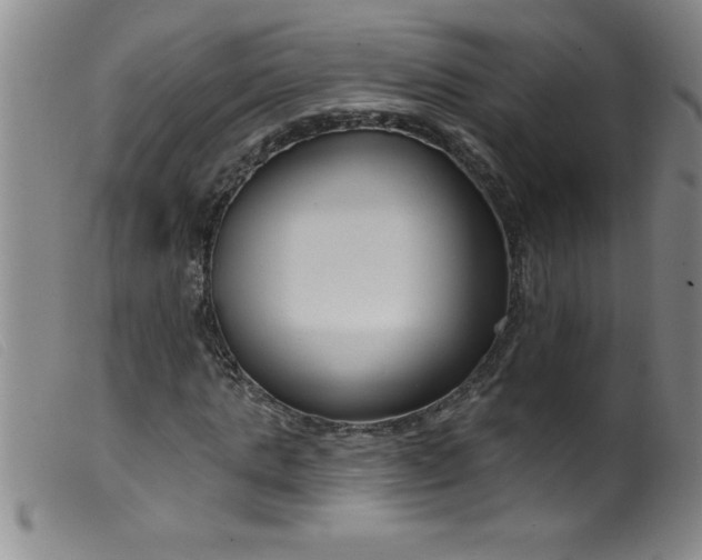 X0000099480821200805231853