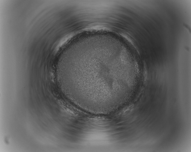 X0000099480823200805231853