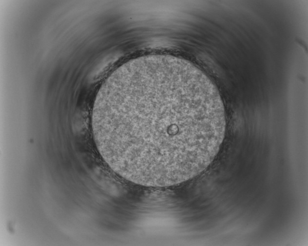 X0000099480824200805231853