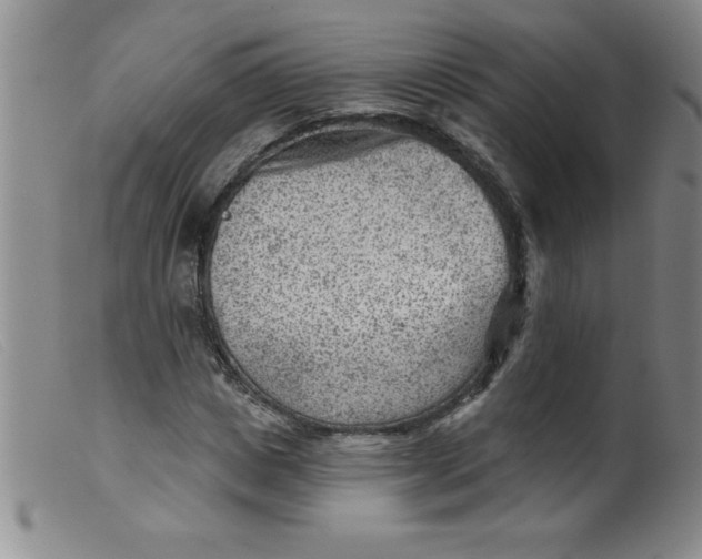 X0000099480825200805231853