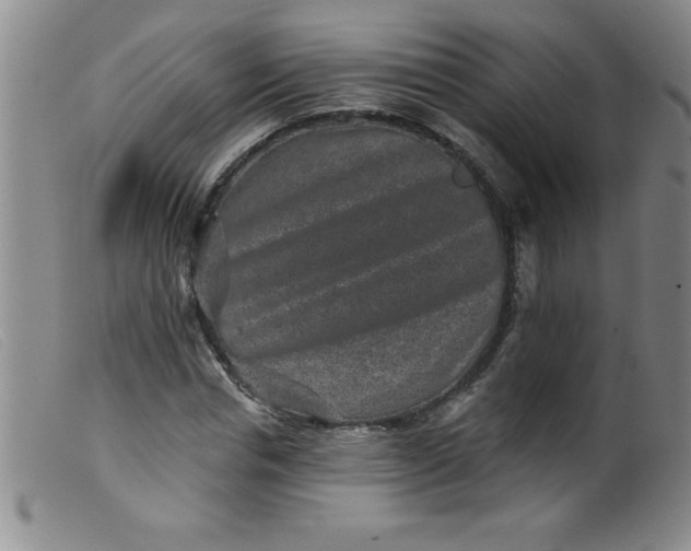 X0000099480826200805231853