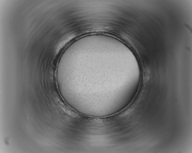 X0000099480827200805231853