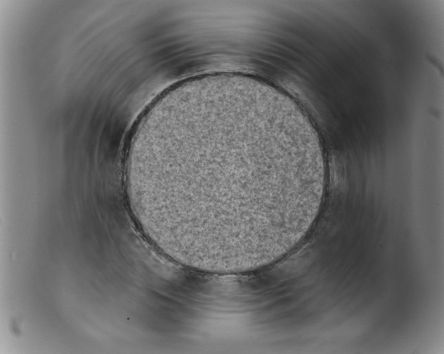 X0000099480828200805231853