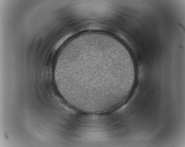 X0000099480829200805231853