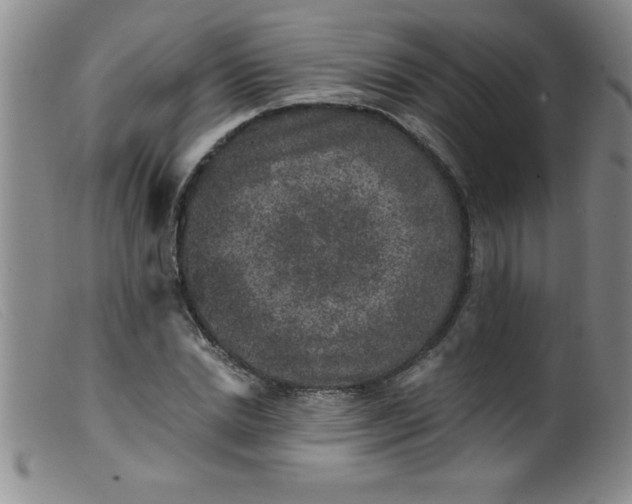 X0000099480830200805231853