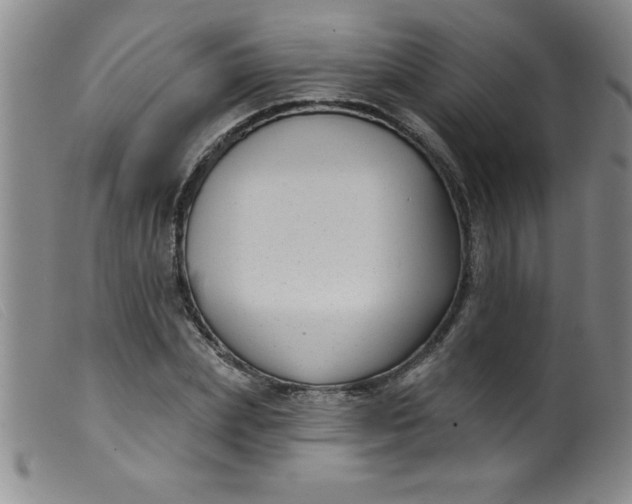 X0000099480831200805231853