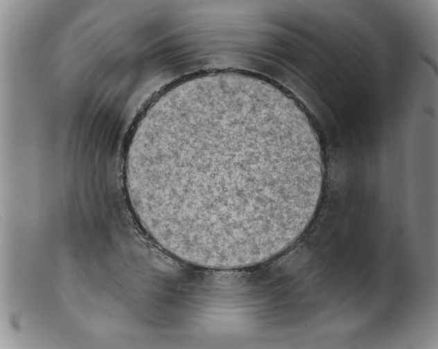 X0000099480832200805231853