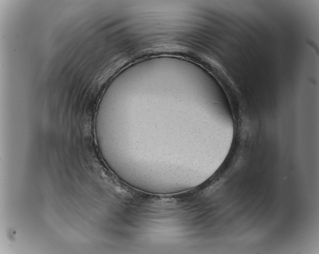 X0000099480833200805231853
