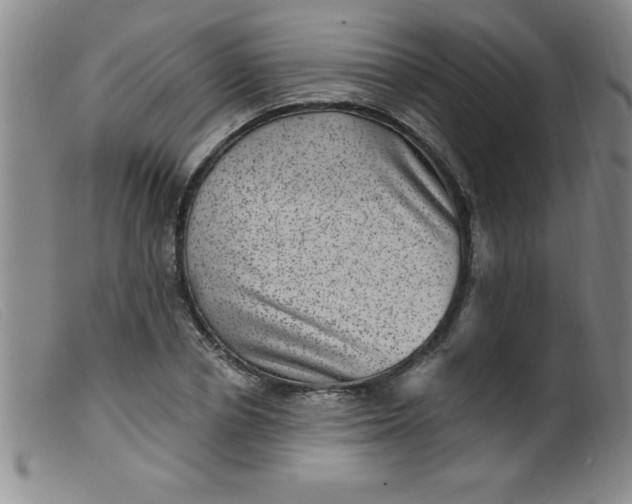 X0000099480834200805231853