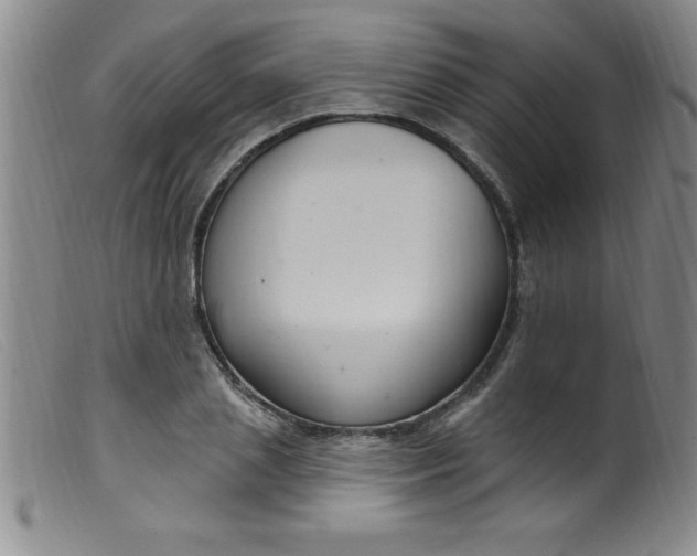 X0000099480837200805231853