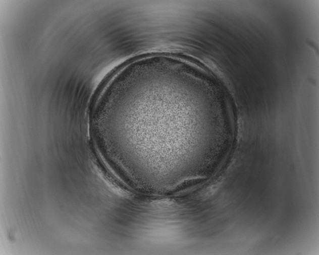 X0000099480838200805231853