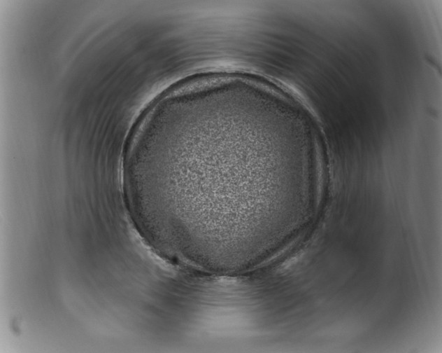 X0000099480839200805231853