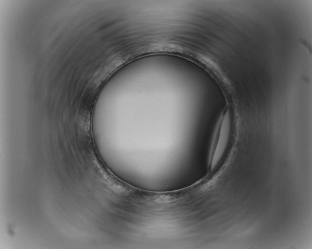 X0000099480841200805231853
